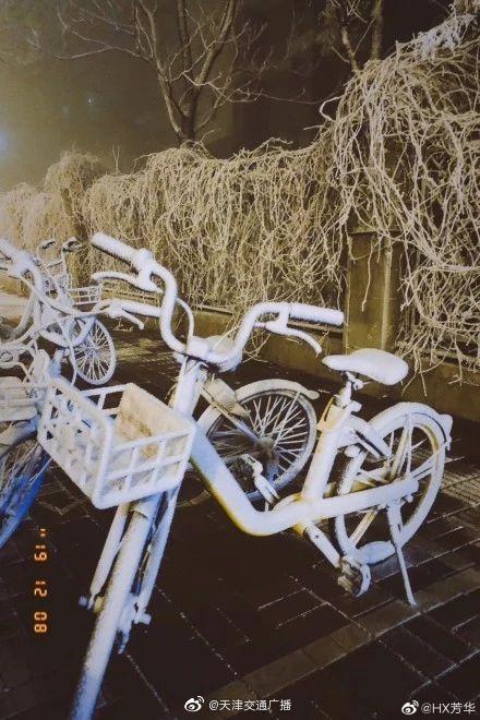 光明网：下雪了！你看到了吗？