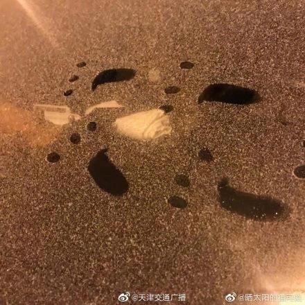 光明网：下雪了！你看到了吗？