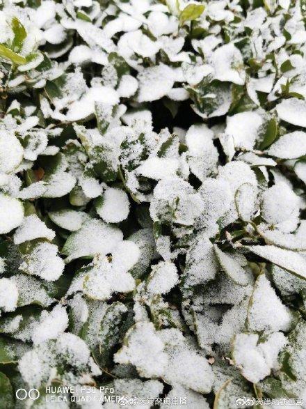 光明网：下雪了！你看到了吗？