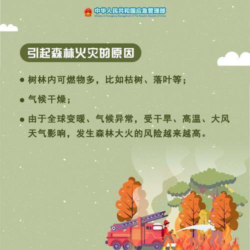 光明网■遇森林火灾如何自救？专家说还能“点火解围”