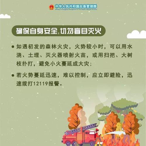 光明网■遇森林火灾如何自救？专家说还能“点火解围”