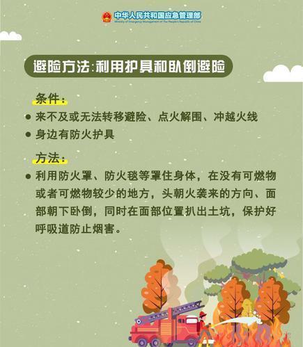 光明网■遇森林火灾如何自救？专家说还能“点火解围”