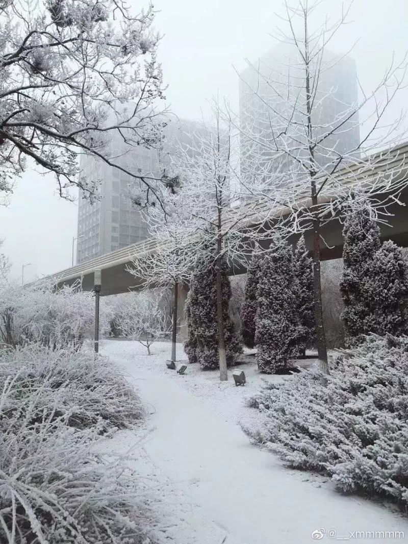 北京青年报@【热议】北京今天下雪了？气象部门：是的，在这里