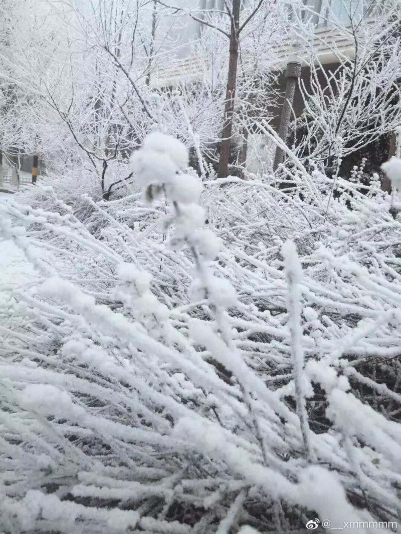 北京青年报@【热议】北京今天下雪了？气象部门：是的，在这里