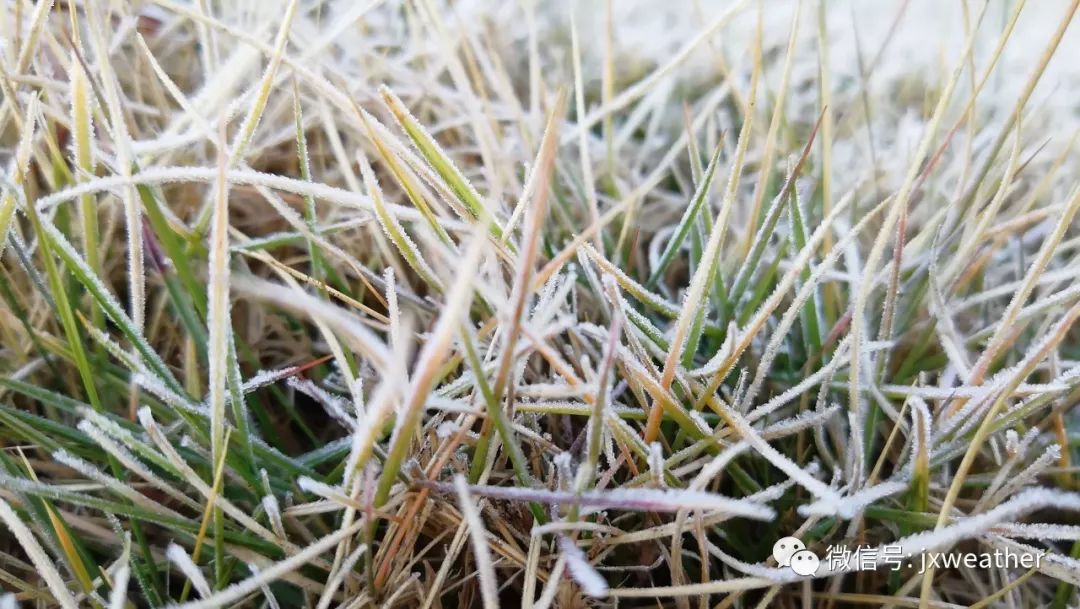 [江西交通广播]就是这么刺激，下周气温飙升至27度！