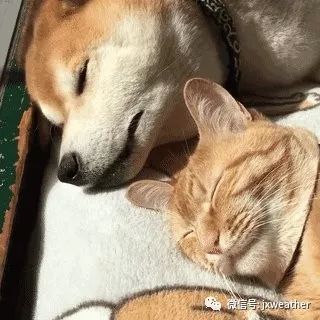 [江西交通广播]就是这么刺激，下周气温飙升至27度！