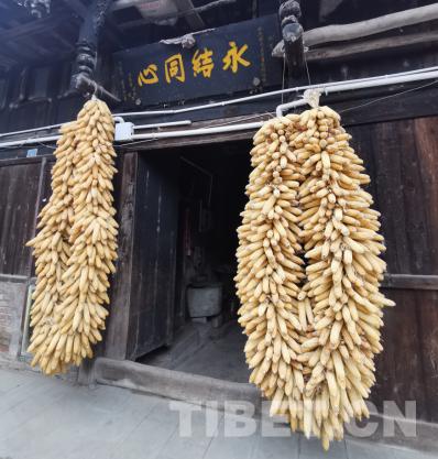 中国西藏网■藏茶之旅（三）：一个鲜活的茶马古道驿站