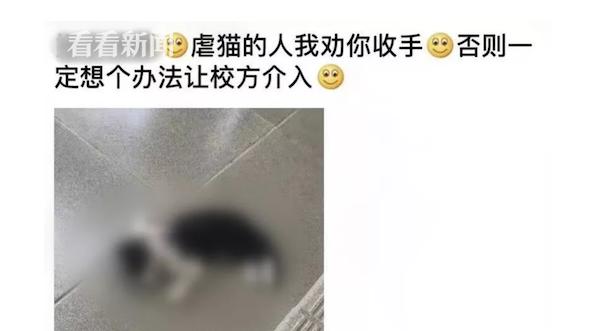 [看看新闻]校园内数只小猫相继死亡 疑遭到残忍虐待！学生：晚上睡觉都怕