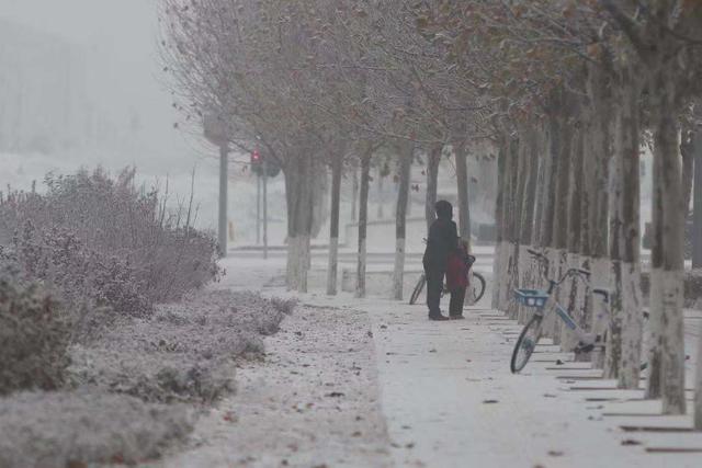 「北京日报客户端」北京局地今又落雪，丰台大兴通州被＂银装＂裹成了这样子