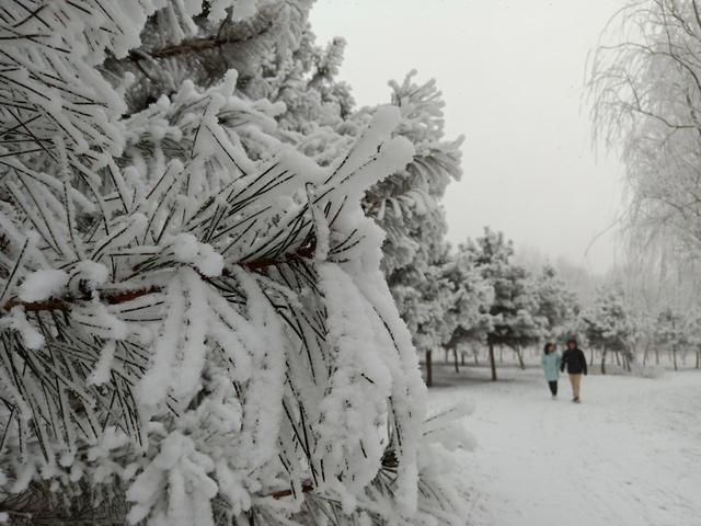 「北京日报客户端」北京局地今又落雪，丰台大兴通州被＂银装＂裹成了这样子