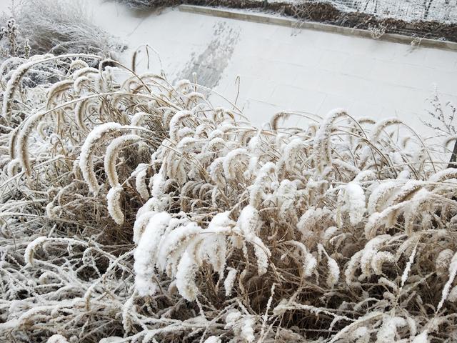 「北京日报客户端」北京局地今又落雪，丰台大兴通州被＂银装＂裹成了这样子