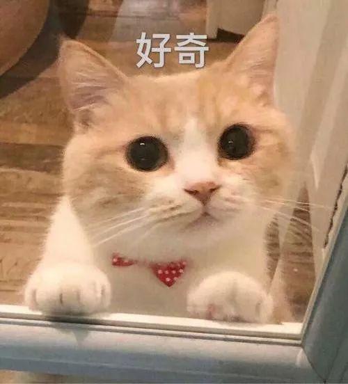 「光明网」“叔叔阿姨在干嘛？”女儿提问后，宝爸尴尬劝阻公然亲热的情侣，不料……