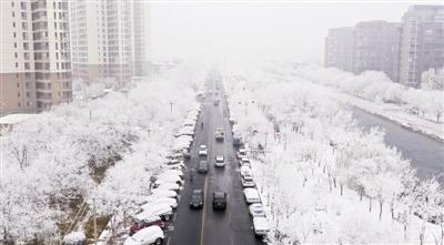 光明网：是冬雪？是雾凇