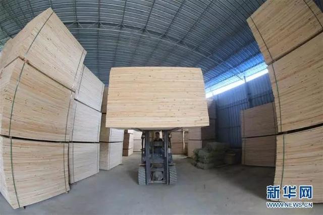 在广西柳州市融安县板榄镇一杉木加工厂,村民在板材生产线上作业(10月