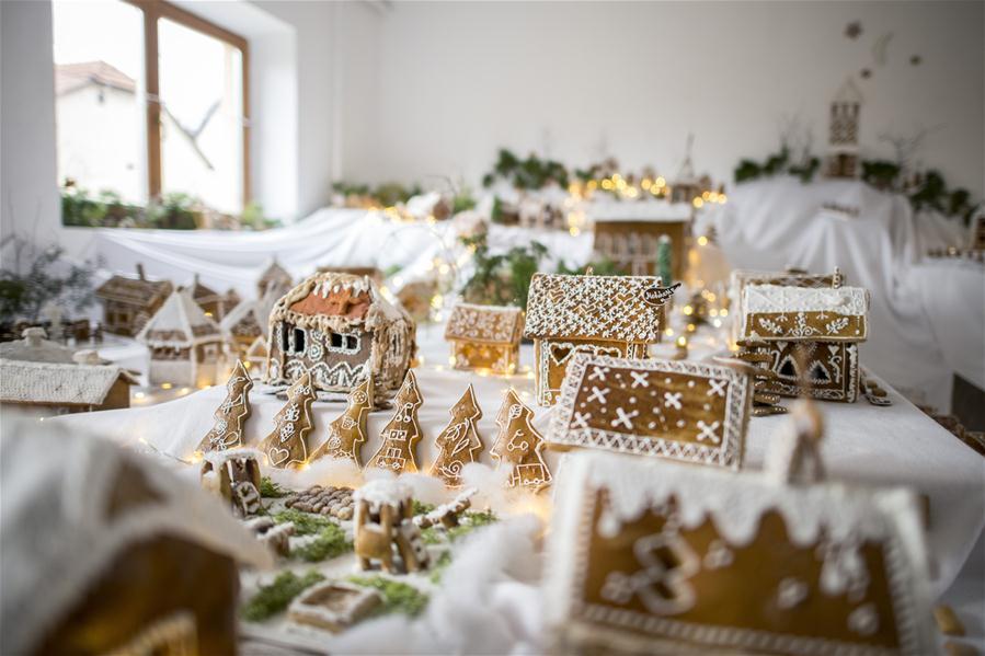 新华网@匈牙利的“姜饼村”