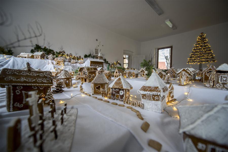 新华网@匈牙利的“姜饼村”