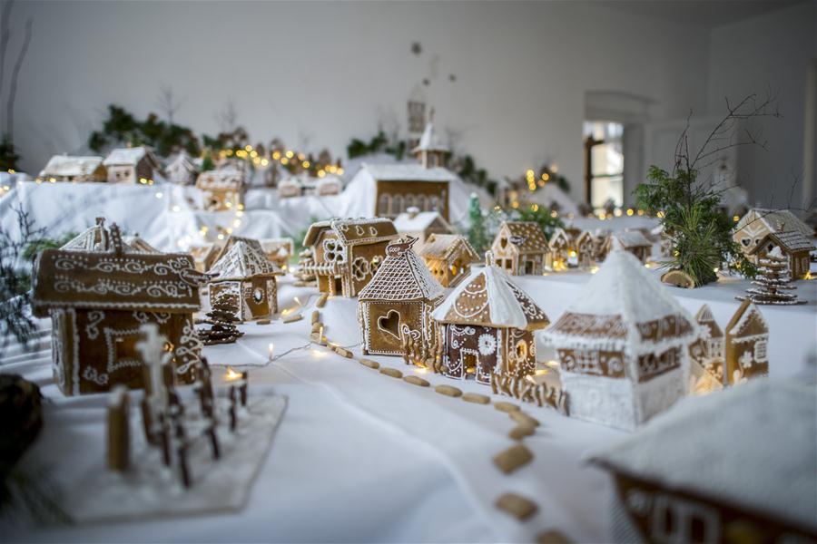 新华网@匈牙利的“姜饼村”