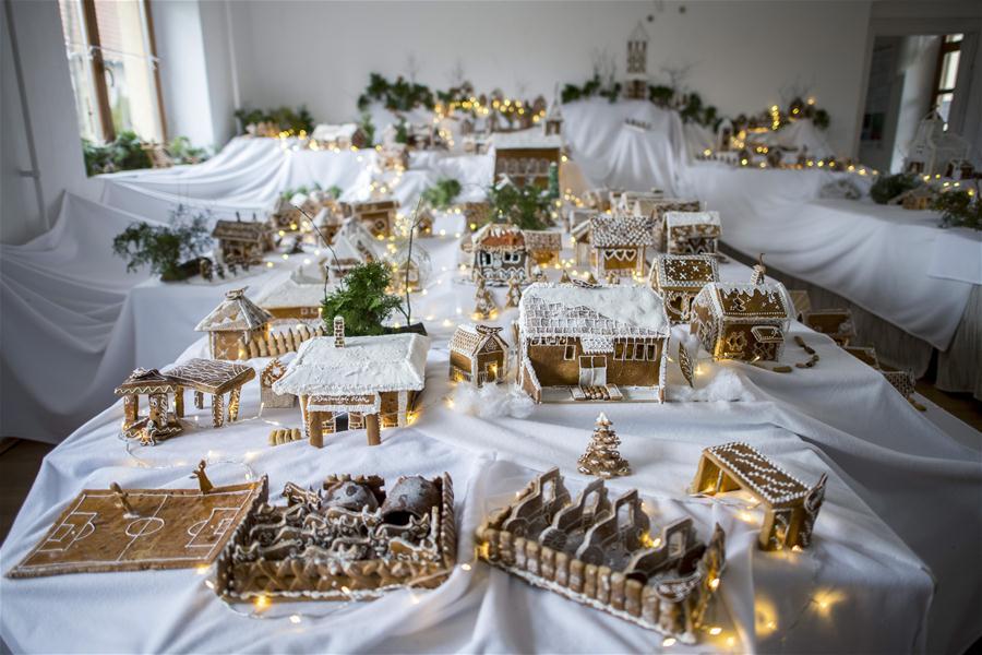 新华网@匈牙利的“姜饼村”