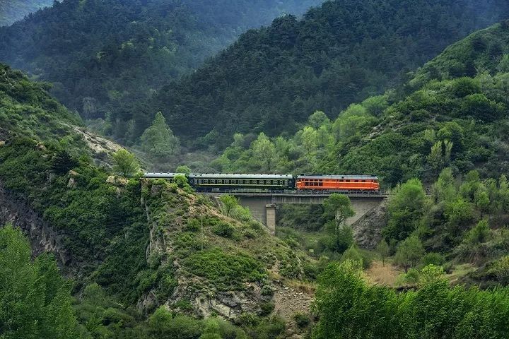 「澎湃新闻」2020年春运火车票明起开售：预计发送旅客4.4亿人次