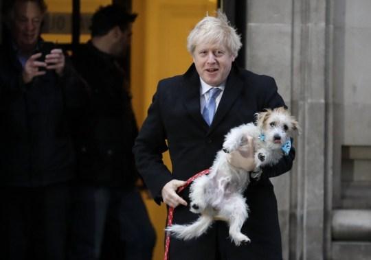 #海外网#投票卖萌两不误！英首相约翰逊带宠物狗现身投票站