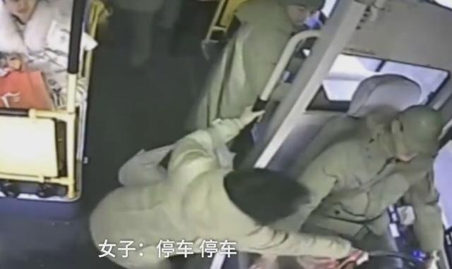 [中国经济网]女子坐过站2次疯抢司机方向盘企图停车，乘客劝阻还反遭殴打