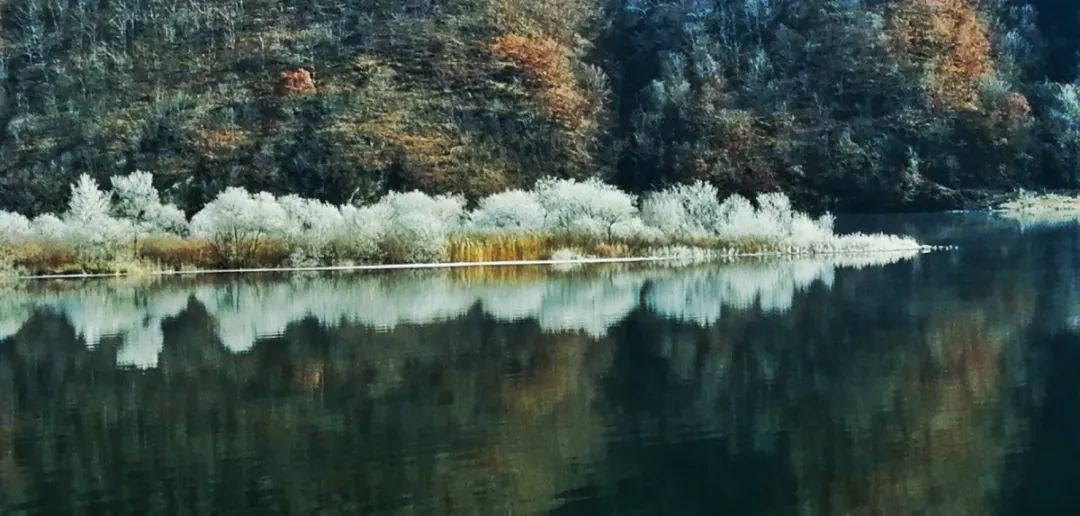 「中国气象局」降雪通知 | 本周末北方地区又将“喜提”降雪！