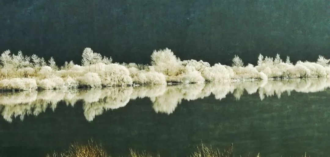 「中国气象局」降雪通知 | 本周末北方地区又将“喜提”降雪！