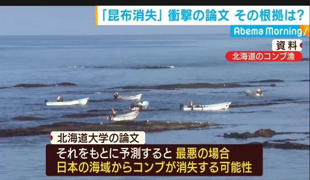 新京报：继海苔荒之后海带将消失？气候变化将日本推向粮食危机