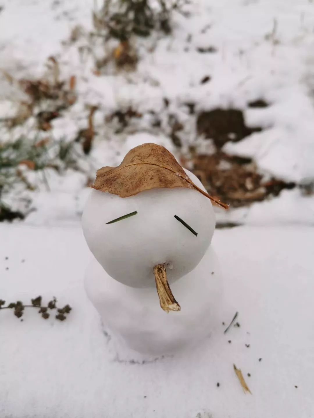 「经济日报」花式堆雪人大赛即将开赛？来看看你家会下雪吗