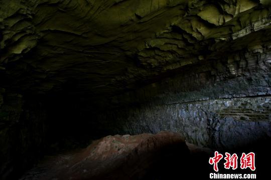 参考消息网@法媒：专家发现脊椎动物“寿命时钟”