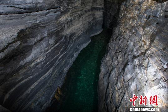 参考消息网@法媒：专家发现脊椎动物“寿命时钟”