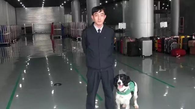 「新华网」从流浪犬到警犬，尼克的逆袭之路励志