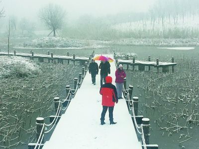 【北京晚报】北京市普降中雪:延庆四海雪量最大 公园迎来游人“打卡”