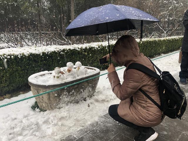 新京报：雪落京城景山公园成热门打卡地，有市民摸黑排队等开园