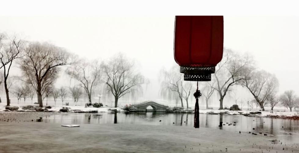 央视新闻@为什么一下雪，世界就安静了？不是错觉，真相是……