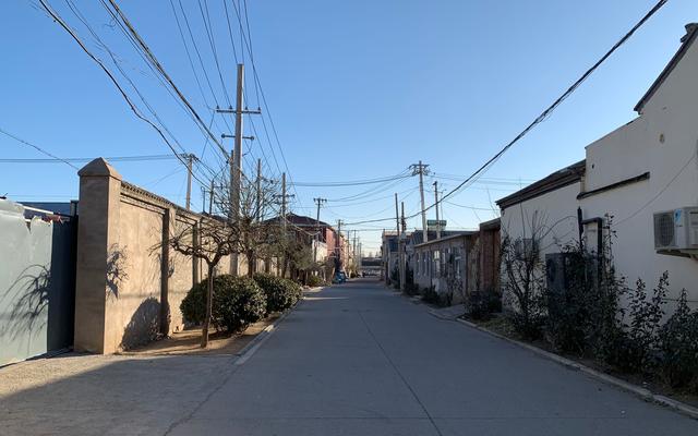 [新京报]一只羊误食塑料袋身亡 促使辛庄村成为“京郊最环保村”