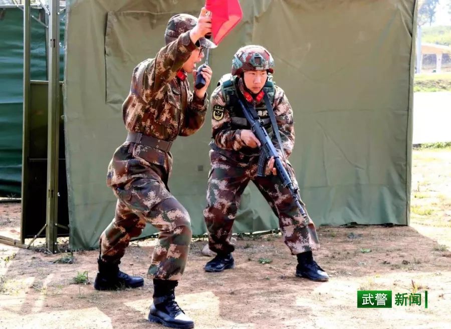 中国武警网■2019这一年，还记得兵哥哥的这些“高光时刻”吗