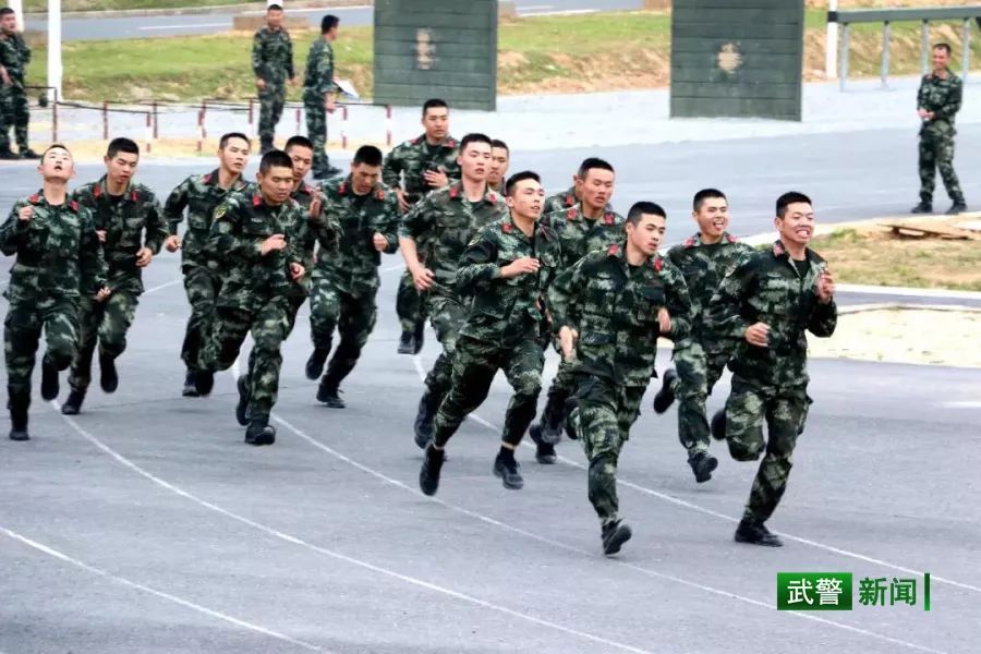 中国武警网■2019这一年，还记得兵哥哥的这些“高光时刻”吗