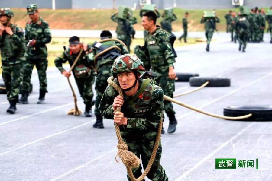 中国武警网■2019这一年，还记得兵哥哥的这些“高光时刻”吗