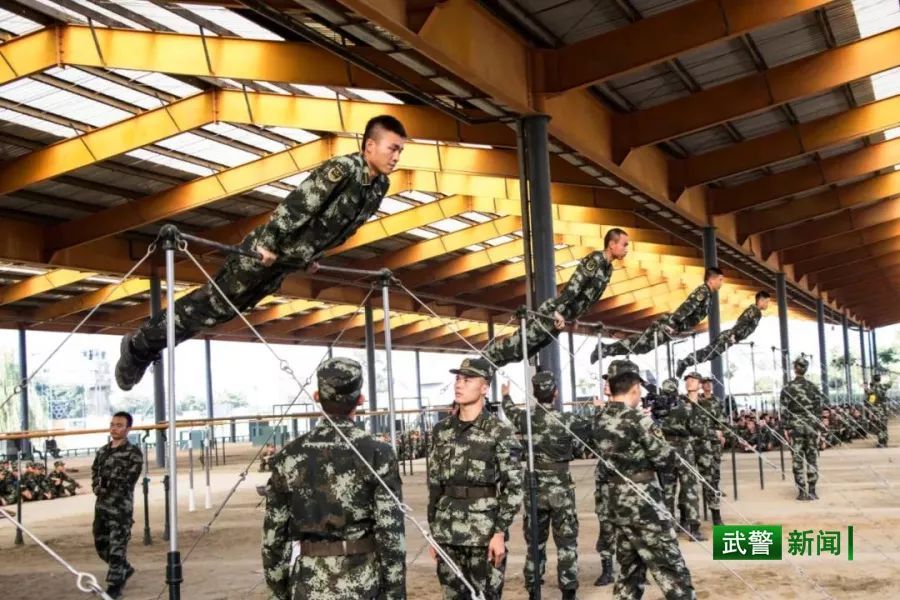 中国武警网■2019这一年，还记得兵哥哥的这些“高光时刻”吗