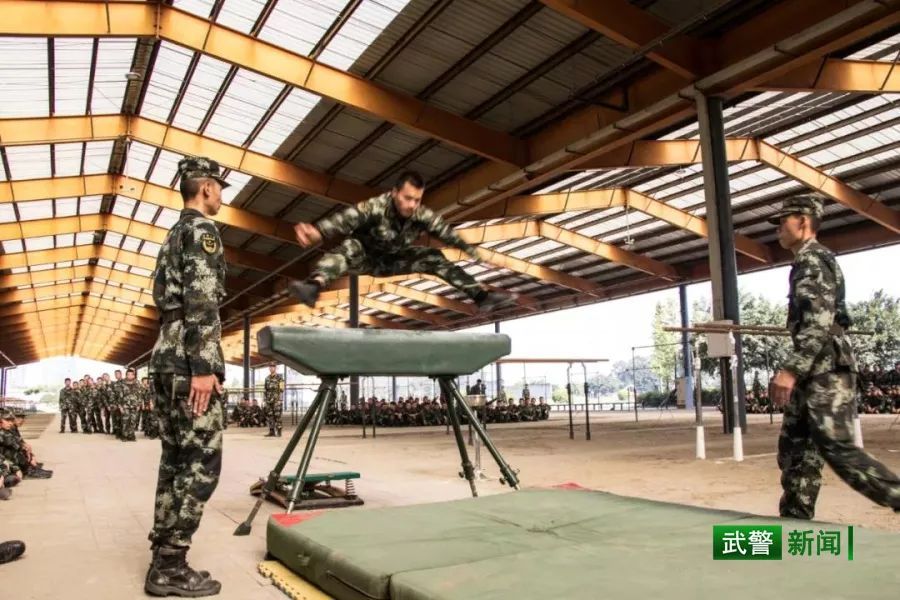 中国武警网■2019这一年，还记得兵哥哥的这些“高光时刻”吗
