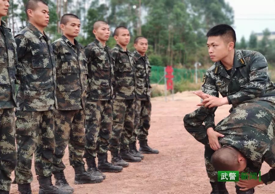 中国武警网■2019这一年，还记得兵哥哥的这些“高光时刻”吗