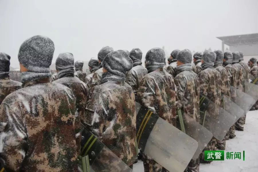 中国武警网■2019这一年，还记得兵哥哥的这些“高光时刻”吗