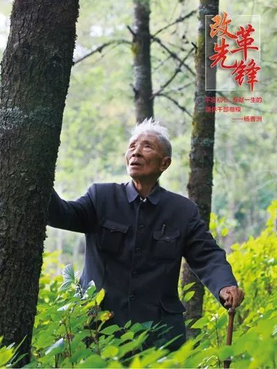 「求是网」2019，《求是》上那些让我们泪目的英模