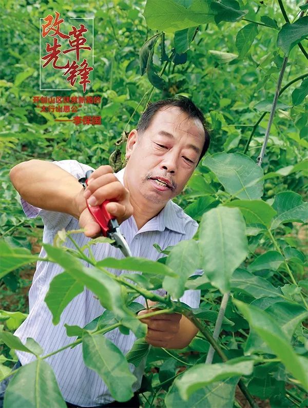 「求是网」2019，《求是》上那些让我们泪目的英模
