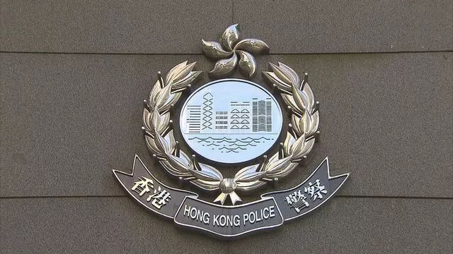 「环球网」“保护港警”计划曝光！