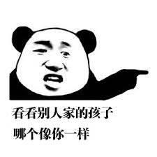 [观察者网]小学生教编程惊动库克 网友：秃头预警