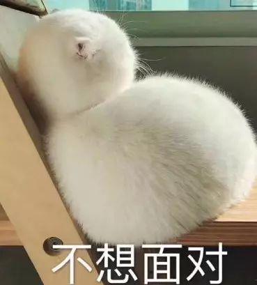 【中国青年网】一场流感花掉40万！丈夫跪求医生：只要能救她，多少钱都行