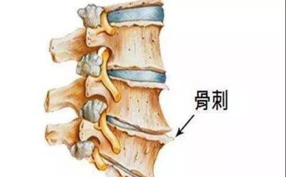 文汇报@体检查出这10种病基本不用治，千万别自己吓自己！请把医生的忠告转给所有人！