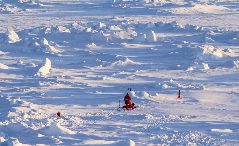 中国网■『2019.12.20』轻松早茶